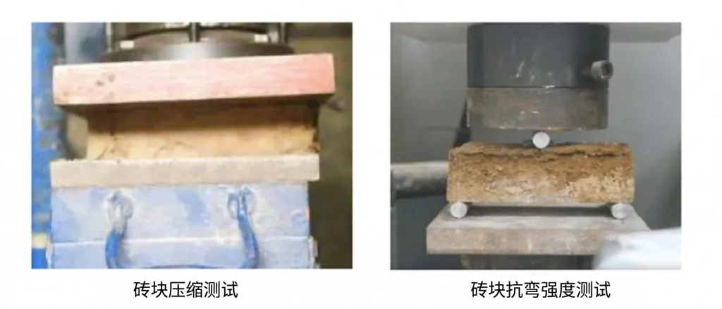 无害建筑:菌丝砖与可持续未来 5 01x6j 4tj7o