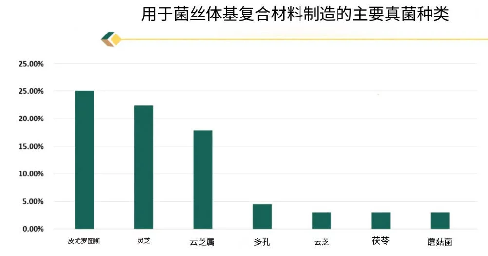 菌丝体包装市场规模、份额、生产与消费分析、可持续材料趋势、价格展望、环保包装需求、竞争格局及全球预测 4 kh50j 8gcfq