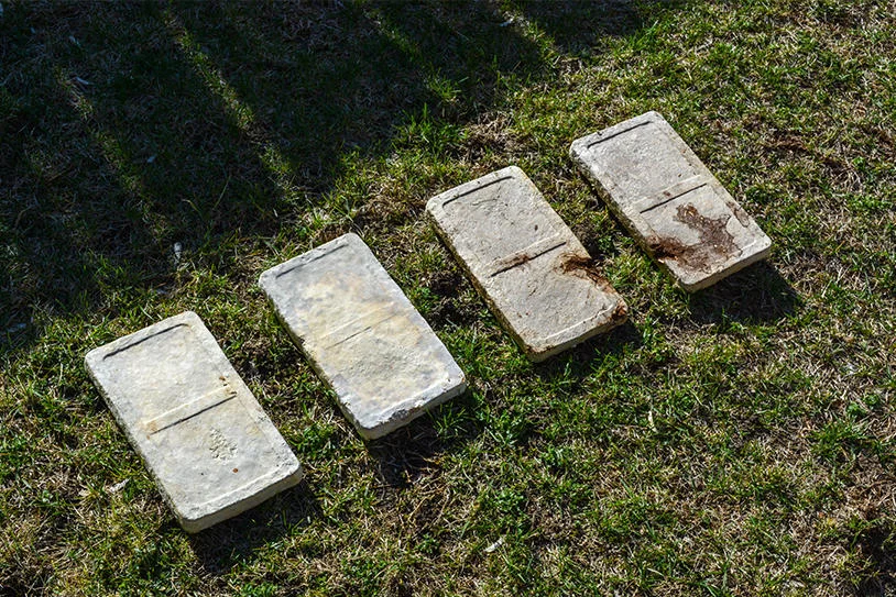 菌丝体用锯末、咖啡渣和本地废弃物制成菌丝块和片状结构 6 ro1ca ghuye